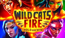 Wild Cats Fire