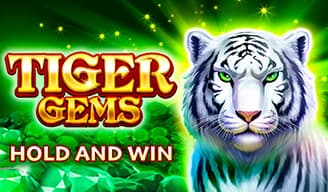 Tiger Gems-Hold and Win